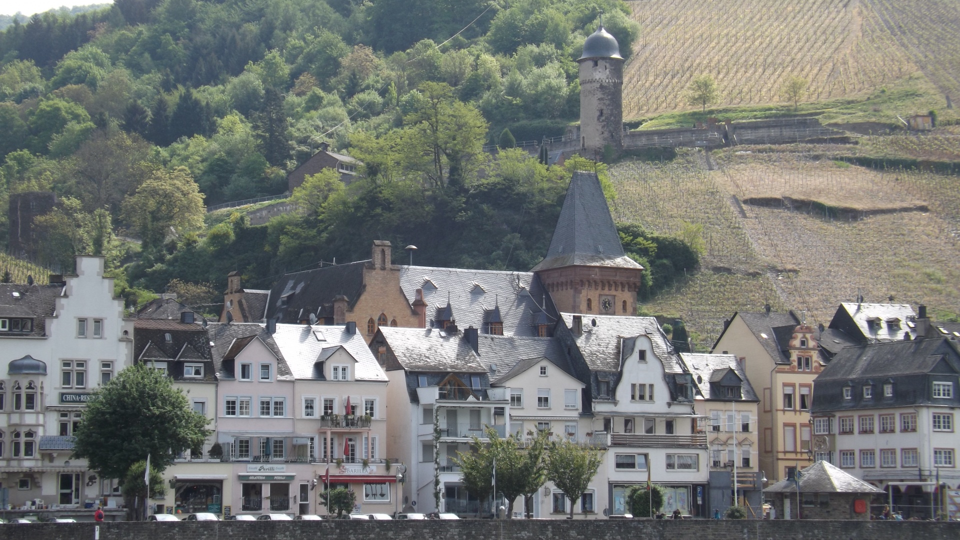 Ihr eigener Weinberg